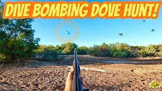 Solo Dove Hunt | California Desert | November Opener