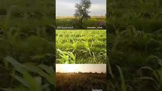#subhanallah #salmanvlog