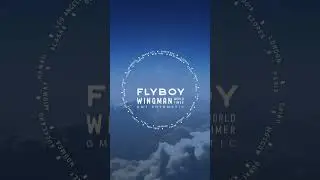 Flyboy Wingman Worldtimer GMT Automatic | #avi8 #aviation #militaryaviation #watch #gmtwatches