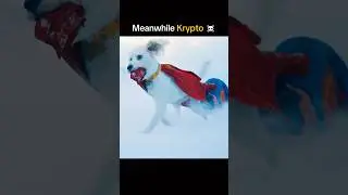 Other Superheroes Pets Vs Krypto ☠️ #shorts