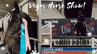 Las Vegas Horse Show Vlog #2