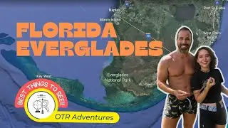 FLORIDA EVERGLADES AND Gators Ep.5
