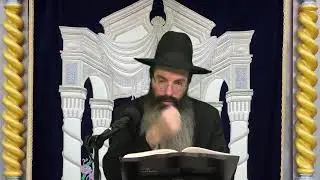 הרב נתנאל אביסרור פרשת בשלח שירה חדשה תשפ