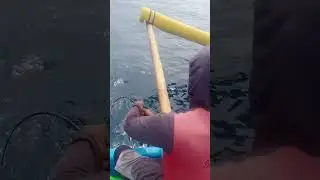 Ternyata ikannya... 