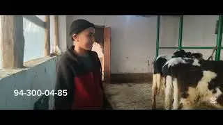 15 yoshli ukamizdan