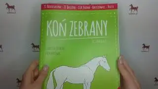 Książka 