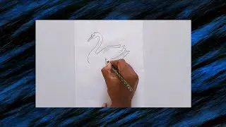 How to draw a simple swan | How to draw a Swan drawing | Swan drawing pencil  #artist 45
