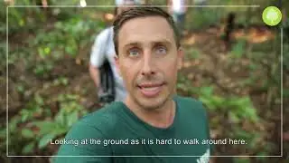 Get to know us with Joshua - The team in the jungle!