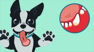 Oratene Pet Oral Care