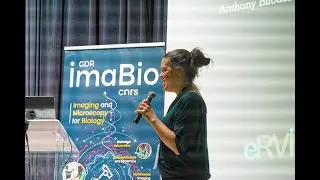 Flavie LAVOIE-CARDINAL : decoding synaptic diversity with AI-assisted nanoscopy