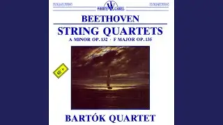 String Quartet No. 17 in F Major Op. 135: I. Allegretto
