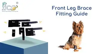 How to Fit the Fico Front Leg Brace on Your Dog | Step-by-Step Tutorial