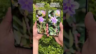 Realme 12 pro vs Oneplus Nord CE 4 2x Optical Zoom Test #shorts