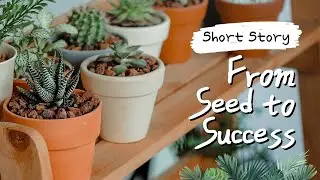 From Seed to Success