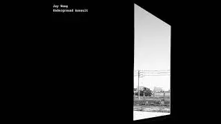 Jay Wong - Underground Assault (Boglin Remix) [Wunderblock]