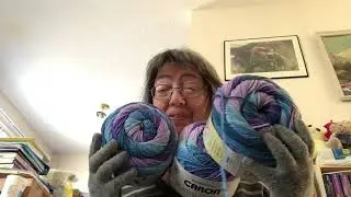 WIP Jan 21/26 Check-In + Michael’s Yarn