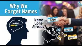 Why Do We Forget Names So Quickly The Science of Memory Explained