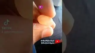 23 Carat Rough Yellow Geuda Sappire