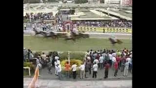 Season 2012 - Meeting 12 - Race 5 - Master Mascus - G. Faucon - iDates.mu - Turf Mauritius