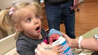 💓 Funny Animals Trolling Human 2021