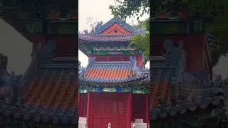 Axis Architecture | New Yuanming Palace