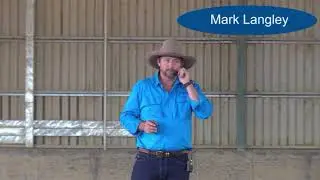 What not to do with your horse if you want a good relationship