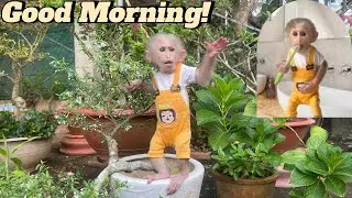 Lulu Enjoys a Quiet and Peaceful Morning with Her Grandparents