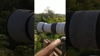 EOS R7 with RF100-500mm insane setup testing #eosr7 #vineestudio