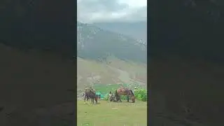 Kashmir in july🌷🍂 🌊#amazingview #kashmir #travel #firstvlog #enjoy #couple #bikeride #reels #enjoy
