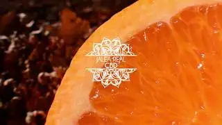 Jalea Real CBD Terpenos | CANNADICINA.COM