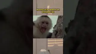 Makhluk mengerikan di danau