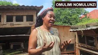 Okulunda emesse  rat farming  part four