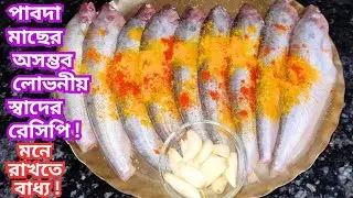 পাবদা মাছের রেসিপি একবার এই পদ্ধতিতে বানিয়ে দেখুন কথা দিচ্ছি স্বাদ ভুলতে পারবেন না |‌ Pabda Recipe