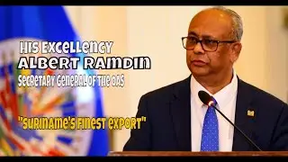 H.E. Albert Ramdin