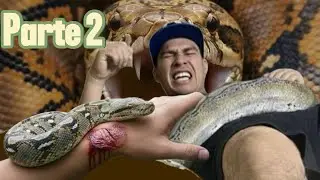 Por la mordida de esta serpiente casi p1erdo la vida PARTE2 #snake #parati #python #mordida #animals