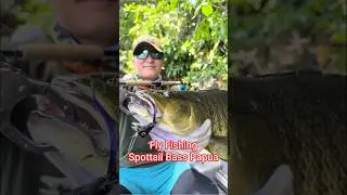 Fly Fishing Spottail Bass Papua 巴布亚飞钓斑尾鲈