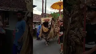 Arak Arakan barong gongantara#jaranan #ndadi #shortvideo #kudalumping #jarananbanyuwangi