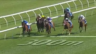 2020 Flight Stakes | Montefilia