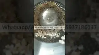 Hairtail Meat Deboning Machine Fish bone remover machine yellow croaker meat and bone separator