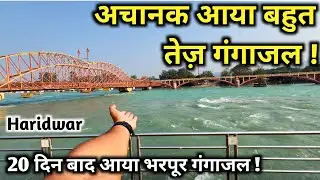 हरिद्वार में अचानक आ गया बहुत तेज़ गंगाजल, हर की पौड़ी पर आया नीला पारदर्शी गंगाजल । Haridwar Video
