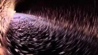 ESSPLORATION !