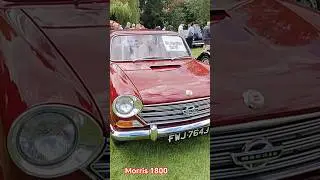 Morris 1800