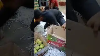 Kacha badam remix  Sitafal packing processing for export  #sitafal #Custedapple #newtoyou #shorts