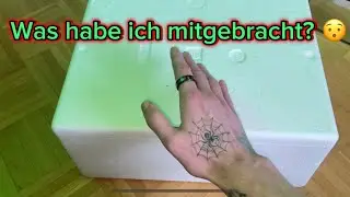Terraristika Hamm 10.06.2023. konnte ich mich diesmal beherrschen??