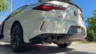 Cold Start on 2021 Acura TLX A-SPEC with baby revvs