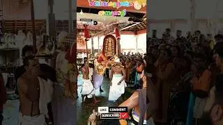 ശാസ്താവിനെ കണ്ട് കടൽ നീരാട്ടിനായി ഇറങ്ങുന്ന വലിയകുളങ്ങരതമ്പുരാട്ടി🪔🙏 #lifeisbutadream #shortsvideo