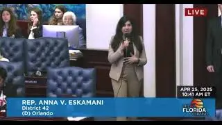 Rep. Eskamani Presents an Amendment on Combined Reporting