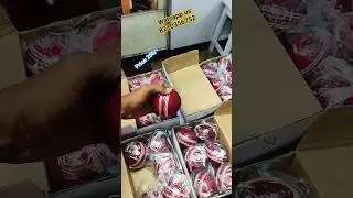 🔥 | RED dues ball | Best quality dues ball under 300/- match practice dues ball unboxing #shortvideo