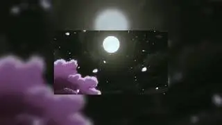 ESEKA ft. CHULY - PASA Y CALLA