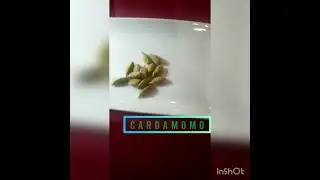 3 de agosto de 2021
